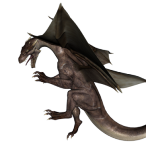 Dragon occidental modèle 3D