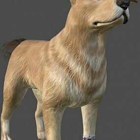 3D-model van de wilde hond