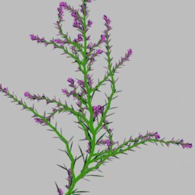 Violet Flower 3d-model