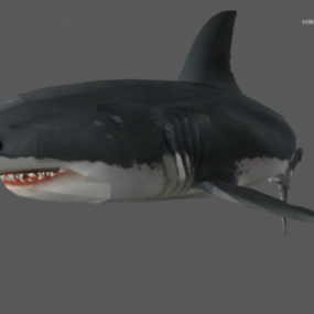 Modelo 3D do Tubarão Mandíbulas
