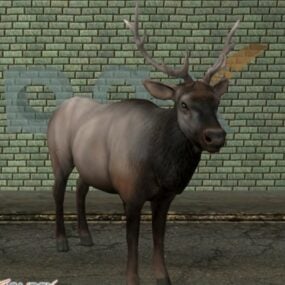 Deer Elk Animal 3d-model