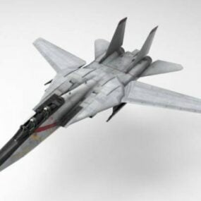 F14 Tomcat Aircraft 3d-modell