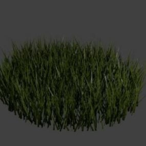 Realistic Grass 3d model