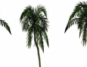 Gerçekçi Palmiye Ağacı 3d modeli