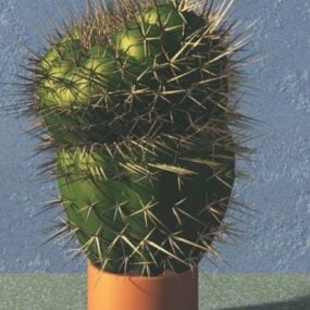 Model 3D Kaktus Ing Pot
