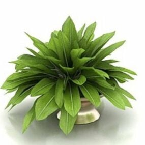 House Plant Pot Indoor 3d model