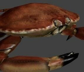 Krabben-3D-Modell