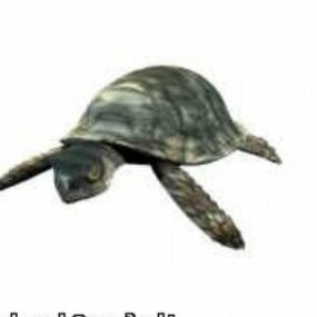 Múnla Sean Turtle 3D saor in aisce