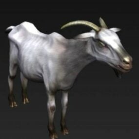 Animal Goat 3d model