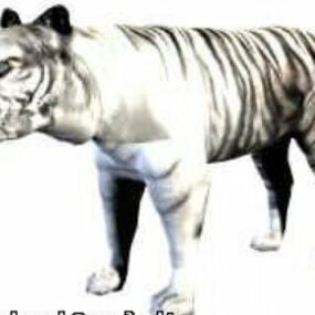 Modelo 3d del tigre blanco