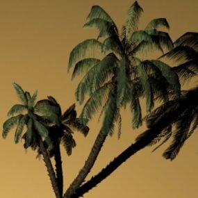 3д модель Высокополигональной кокосовой пальмы