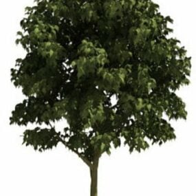 Πράσινο δέντρο τρισδιάστατο μοντέλο