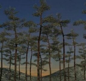 松の木の森のシーン3Dモデル
