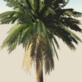 Realistyczny model palmy 3D