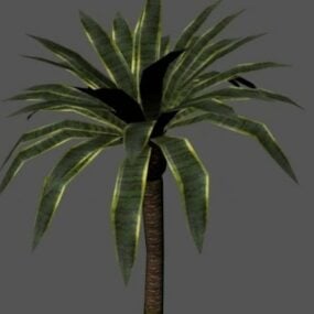 Palmiye Ağacı 3d modeli
