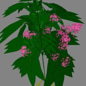 Lowpoly 3д модель цветочного растения