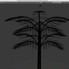 Coconut Palm Tree Forest 3d model