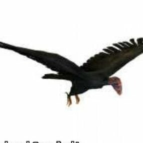 Modello 3d dell'uccello Condor
