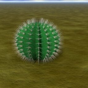 Model 3D rośliny kaktusowej