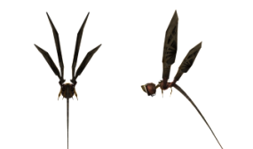 Planta libélula modelo 3d