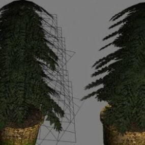 النباتات في الأواني نموذج 3D
