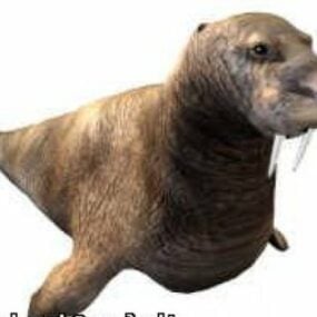 Múnla Walrus Seal Ainmhithe 3d