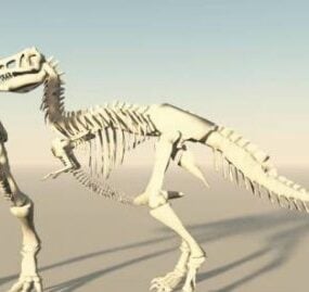 Model 3d T-rex Bone