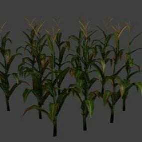 3д модель кукурузного поля