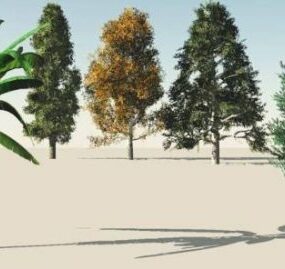 5 3D model tropických stromů