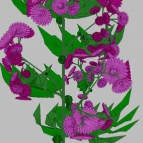 แบบจำลอง 3 มิติของดอกไม้ Crisantemum สีม่วง
