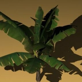 Μπανανόδεντρο τρισδιάστατο μοντέλο
