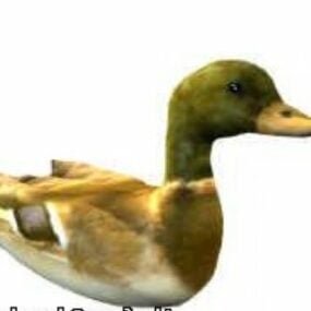 Duck 3d model