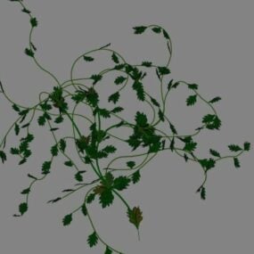 Plantes grimpantes modèle 3D