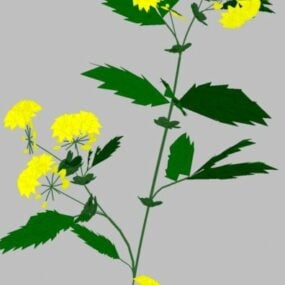3д модель маленького растения-цветка