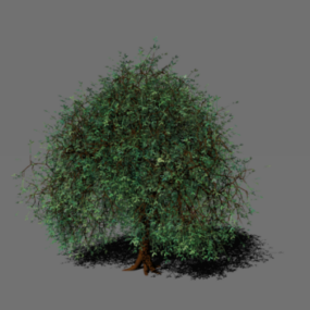 Modelo 3d de árvore de mangue