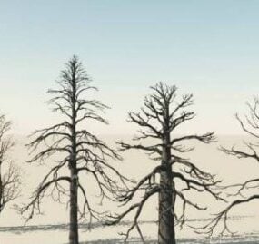 Mô hình 3d Cây mùa đông cành cây