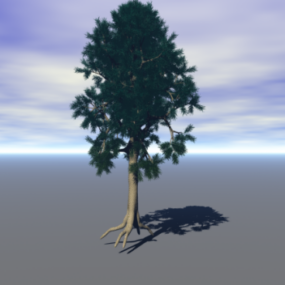 Scotts Pine Tree 3d model