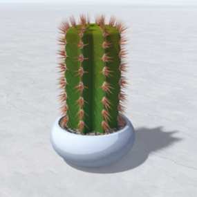 Cactus Plant Boom 3D-model