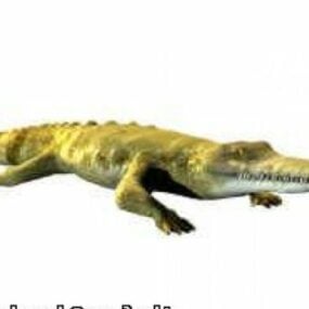 Modelo 3D do crocodilo Ali-gator