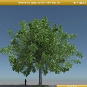 Tree Oak 3d malli