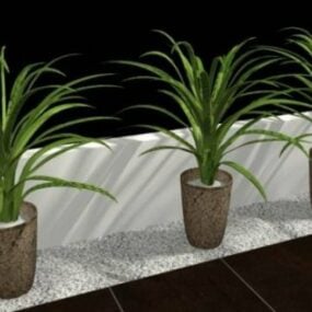 Malá pokojová rostlina v květináči 3D model