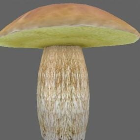 Nature Boletus Mushroom 3d-modell