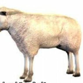 3d модель тварини вівці