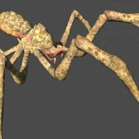 3D model zvířecího parazita