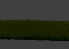 Grass Field 3d model