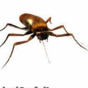 Roach Spider Animal 3d-modell