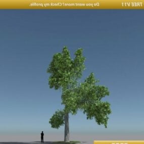 High Tree Oak 3d model