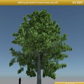 Tree Oak  Free 3d model