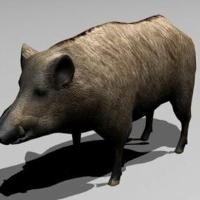 动物野猪3d模型