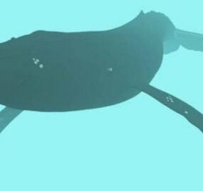 โมเดล 3 มิติสัตว์วาฬทะเล